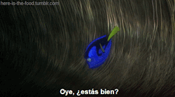 here-is-the-food:  Finding Nemo (2003)