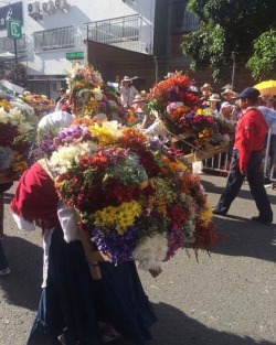 #feriadeflores2017 #desfiledelossilleteros