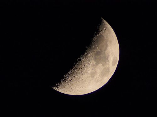 月齢6.8 明日が半月です 今日は気流も穏やかで クッキリ観えてます 最大に拡大した月面動画もどうぞ 明日も晴れますように って言うと絶対に曇り #月 #moon #天体 #天体観測 #天体望遠鏡 #