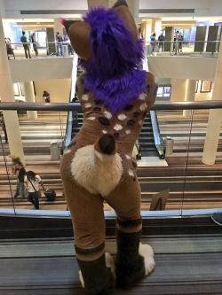 fursuitpursuits:RT @cupcakepuppeh: Dat booty tho 🍑🍑🍑@SmellyStrobes #fursuitbutts #FWA2018 https://t.co/zkRSIs9XXt (Source) owo