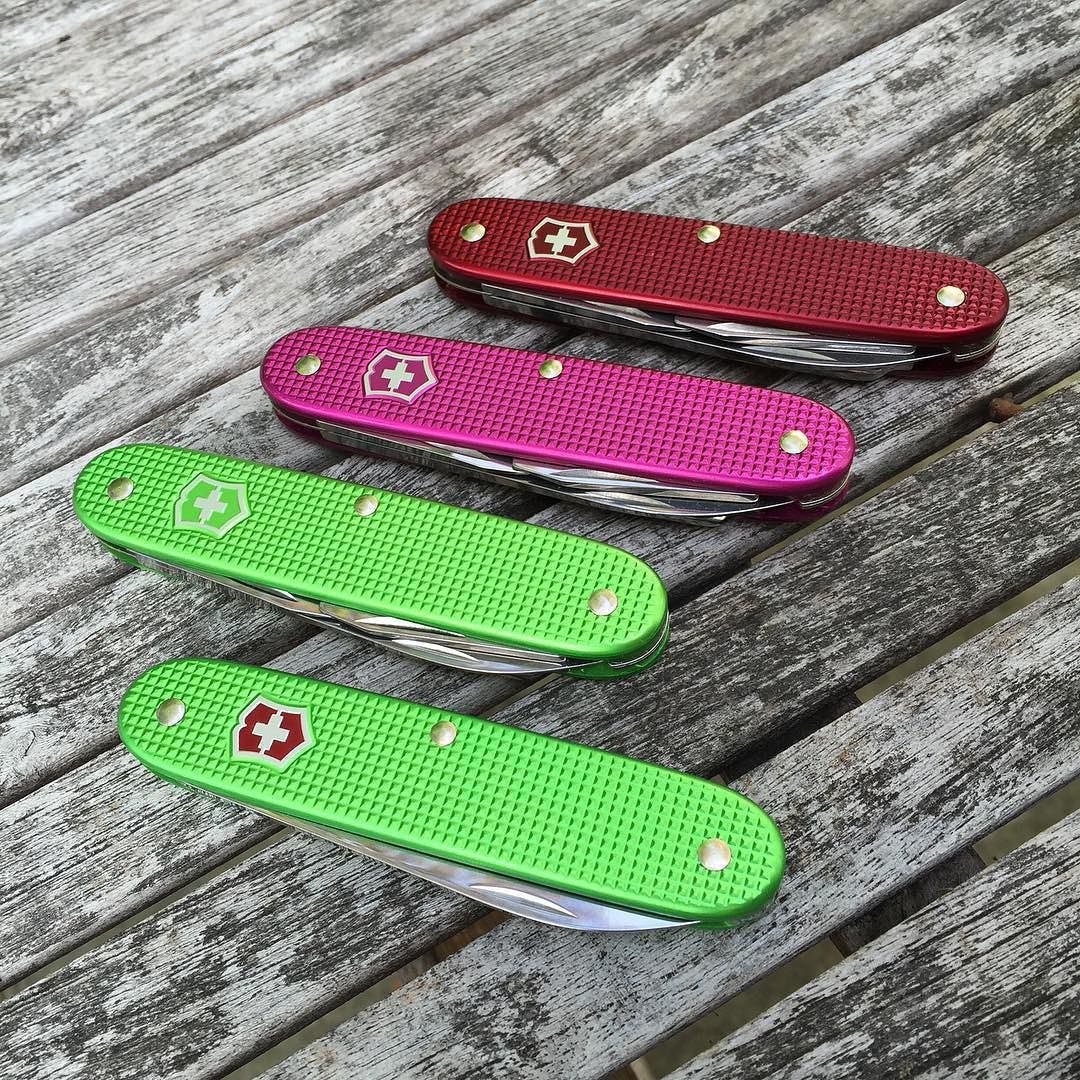 Swiss Bianco is churning them out! Some great new colours (and an old one) to add to the collection. #swissarmyknife #SwissBianco #edc #edcuk #alox #aloxpioneer #aloxsolo #victorinox #victorinoxalox #victorinoxpioneer #edc2015 http://ift.tt/1W2AEMa