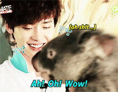 w-oobin:  lee jong suk’s encounter with a koala bear and his fabulous english 
