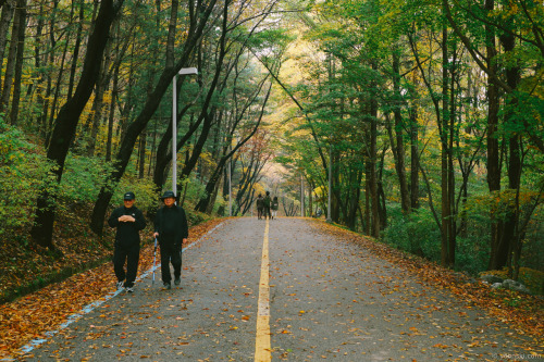 lovesouthkorea: Fall in Gwacheon, South Korea by Yoonski Kim