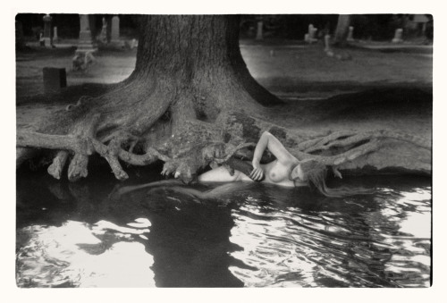 “i find it easy to admire in trees what depresses me in people” ― Marge Piercy• Francesca Woodman: U