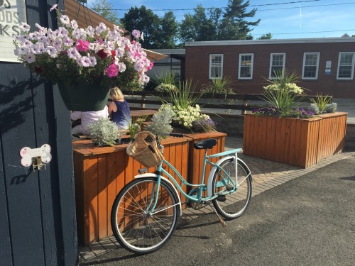 serotoninkid:Ogunquit, Maine //