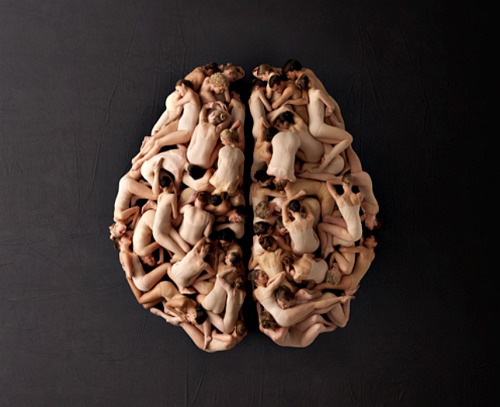 flavoures:  euo:   WE ARE Pi - The Living Brain (2011)   -