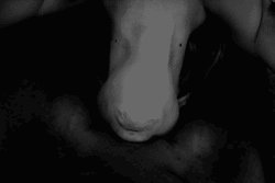 Cuminmouthfull:  