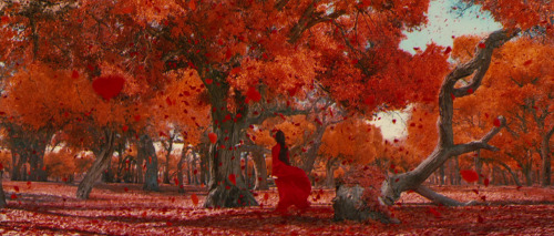 yamakucci: Hero (dir. Zhang Yimou, 2002)