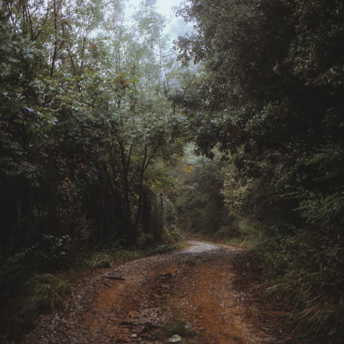 elenamorelli:  { the woods are lovely, dark and deep / but i have promises to keep / and miles to go before i sleep }-hasselblad 500c/m + fuji provia 400x- 