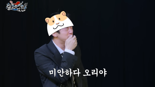 How Come The Hamster Cap Appeared Every Time Seokjin Fell Into Water (but This Only Happened To Seokjin)
