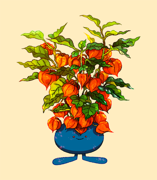 danieljpermutt: Physalis Oddish. Available here :) Instagram