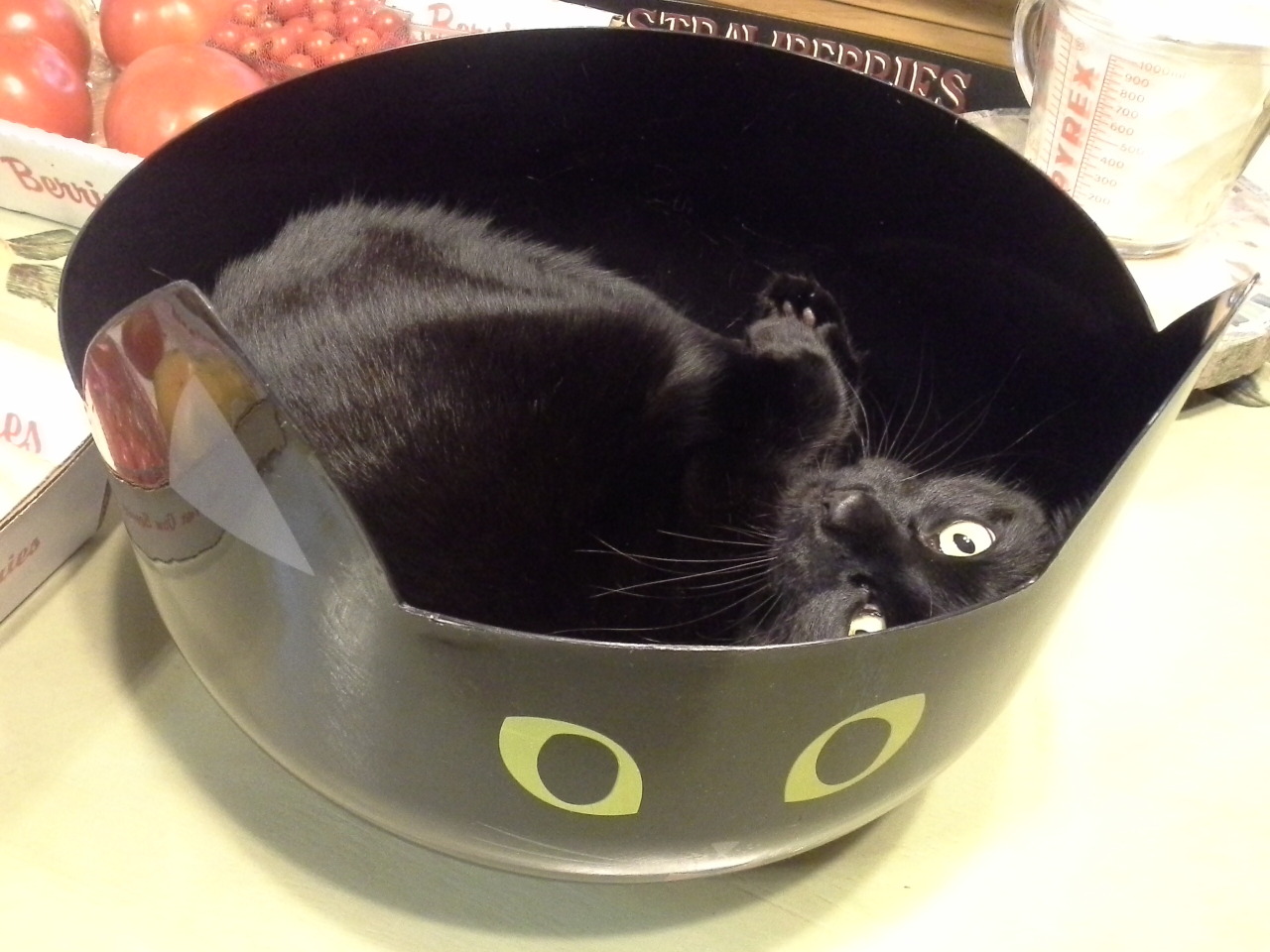 We got my mother a black cat Halloween candy bowl...