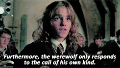 kingmakings: The brightest witch of her age.