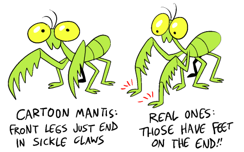 bogleech:I’ve talked about some of these separately but here’s one condensed illustrated