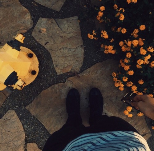 troyleryay:@ConnorFranta: im not sure what the color yellow feels like but today feels like the colo
