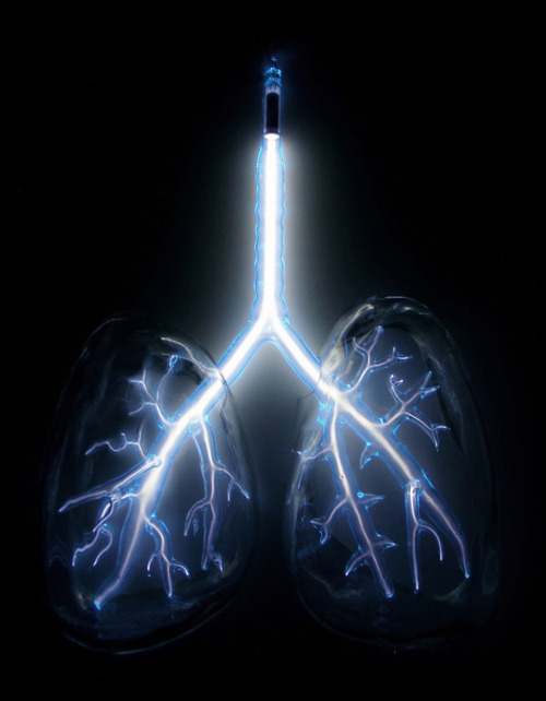 arpeggia:Jessica Lloyd-Jones - Anatomical Neon, 2010Blown glass human organs encapsulate inert gases