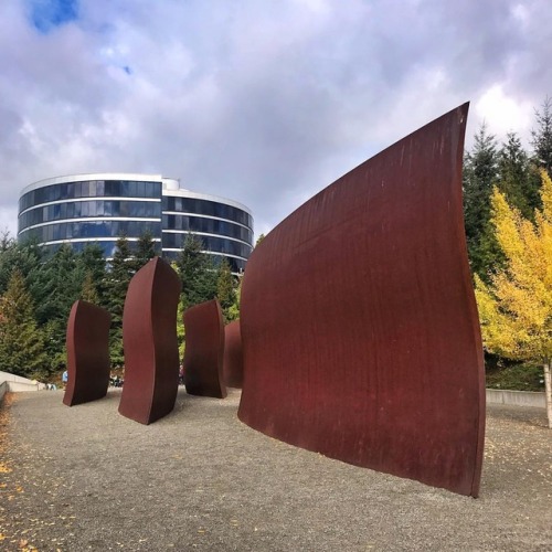 I finally got to see a Richard Serra sculpture in person and it was fucking mesmerizing. Also other 