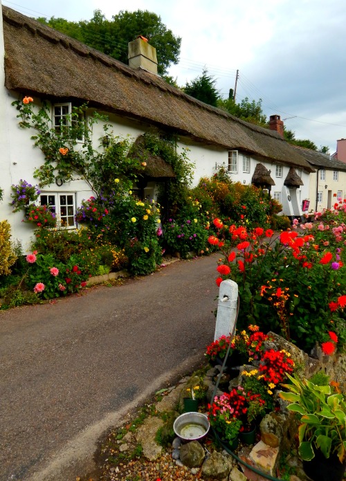 fuckitandmovetobritain:Great Britain [5]- Burford, Robin Hoods Bay, Conwy Castle, Luss, Isle Of Skye, Staithes, York, Branscombe, Corfe Castle, Ely good lord i need all of this