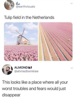 dankmemeuniversity: