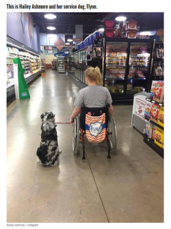 misscherry:  beloved-rose:    Teen With Epilepsy Has A Seizure When Her Service Dog Is Distracted  This article is too important for me to just post a link that you probably won’t click through to read.  THIS is why you DO NOT EVER pet service dogs.