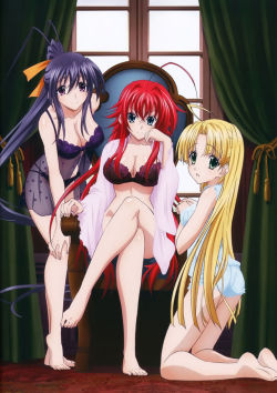 HighSchool DxD New Visual Collection