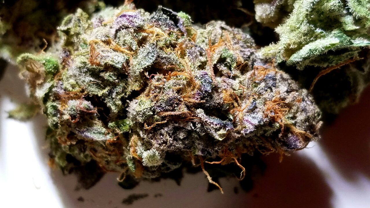 420stationusa:  Stay High And Check Out Our Store Here!!