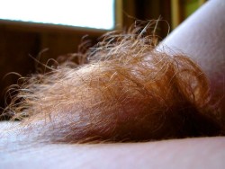 hairywomenrock:  Up close HAIRY and RED!!! :) 