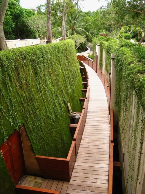 soft-fluffy-moth: jhameia: greenhouse-nurse: wave-on-seashell: Stunning gardens Im crying this 