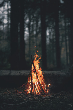 lensblr-network:  photo by Thom Chapman  (chapmanphotography.tumblr.com) 