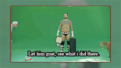 Porn photo hiitsmekevin:  Cm Punk and his Goats 