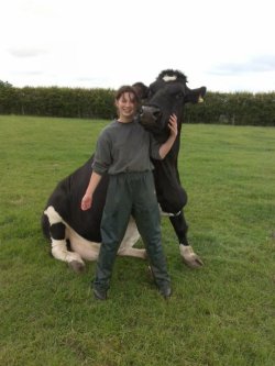 weallheartonedirection:  Mikey, the awesome cow who thinks she’s a dog.