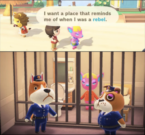 animal crossing memes