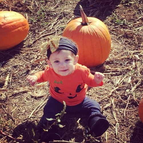 My perfect pumpkin #halloween #pumpkinpatch #cutiepie