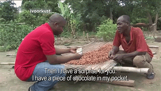 victoryfire88:  weian-fu:  sizvideos:  First taste of chocolate in Ivory Coast -
