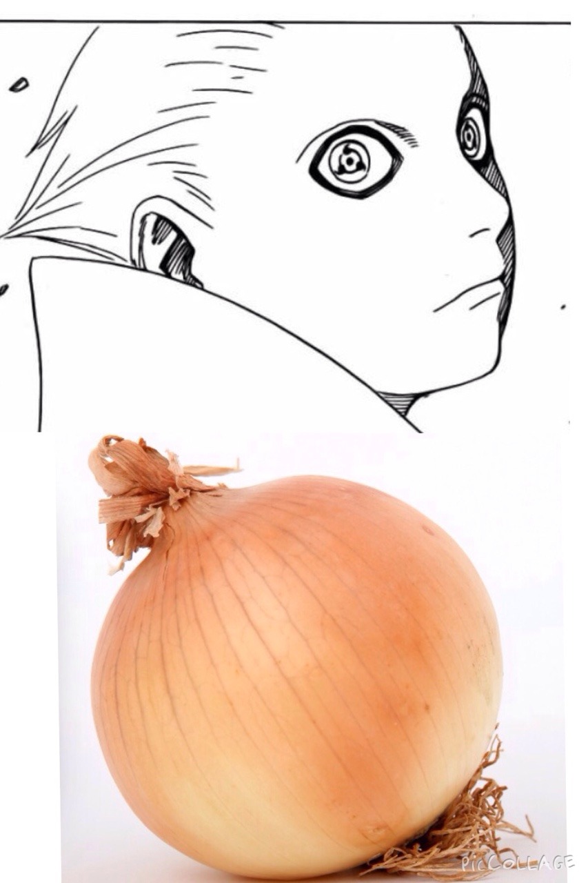 axoura:  What I got out of this chapter. Onion Uchiha