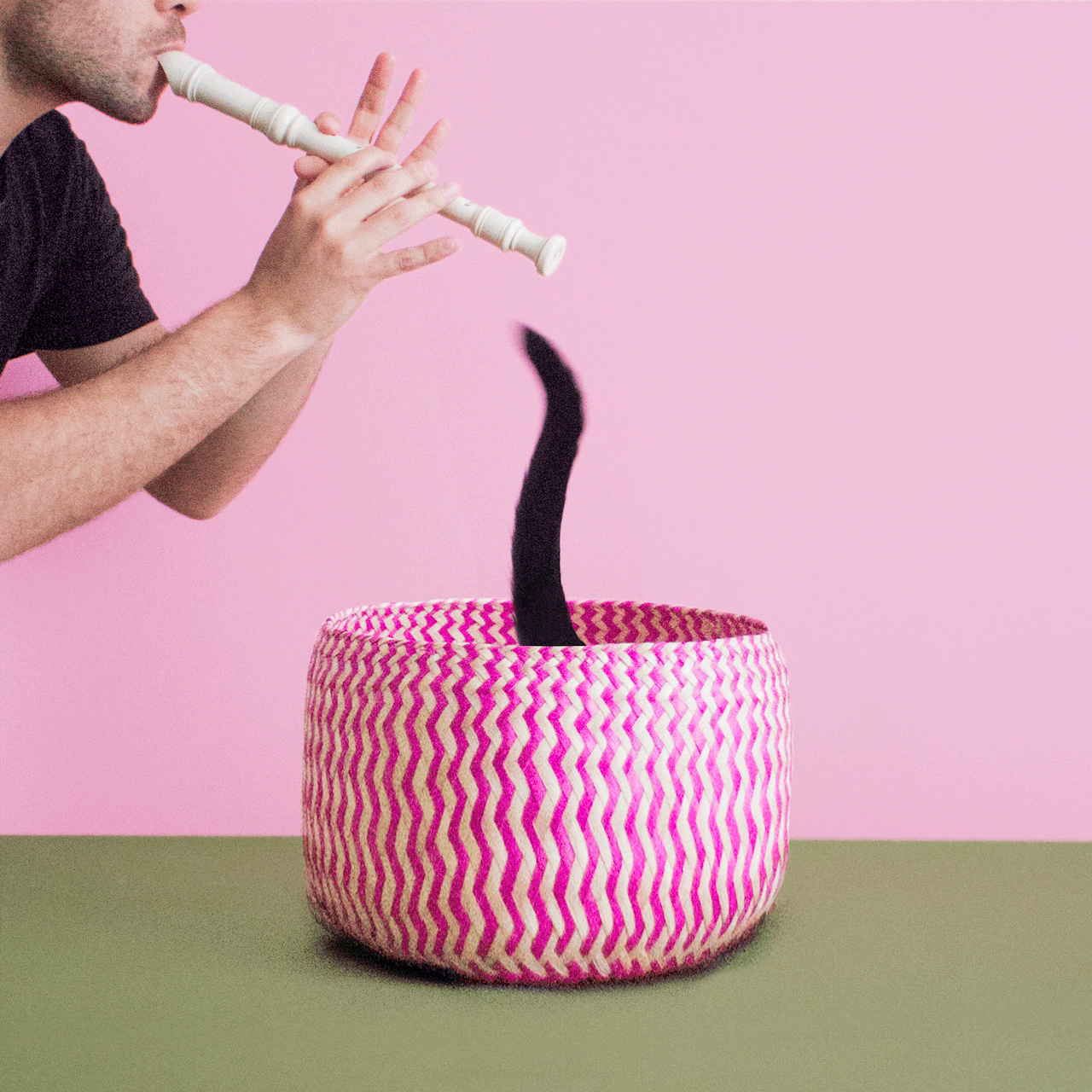 Snake Charmer Gif
