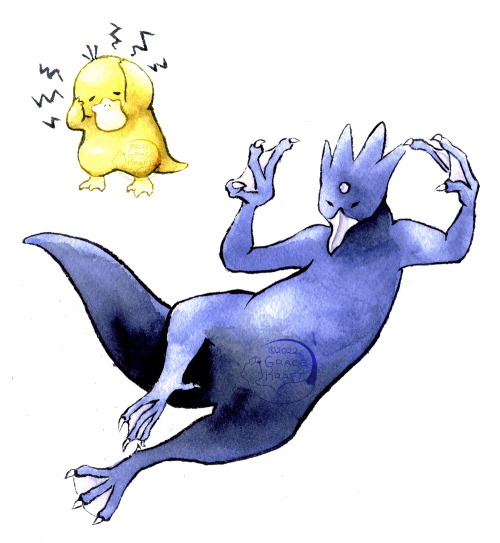 Psyduck and Golduck for the Johtodex!I have always had a soft spot for these two, especially Golduck