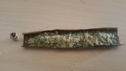 otherlifelessons:  Kiefy Very Berry Blunt