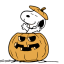 snoopypliot