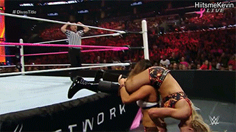 I&rsquo;ll admit that I&rsquo;m not a Nikki Bella fan&hellip;but she