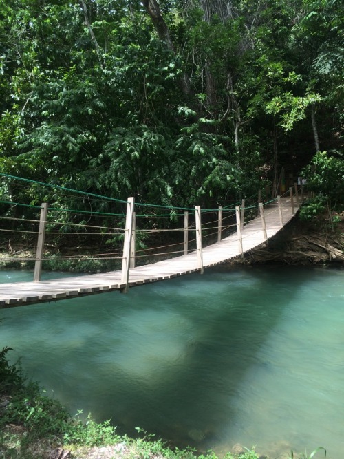 anmllvrandjesusfreak:  Foulmouth, Jamaica
