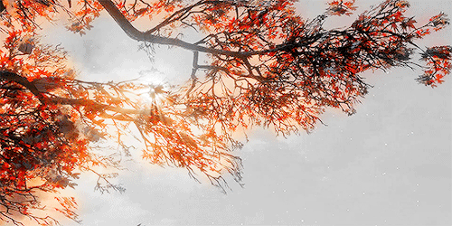 mistress-light:Sekiro: Shadows Die Twice - [ 8/? ]