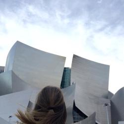 birdasaurus:  at Walt Disney Concert Hall 