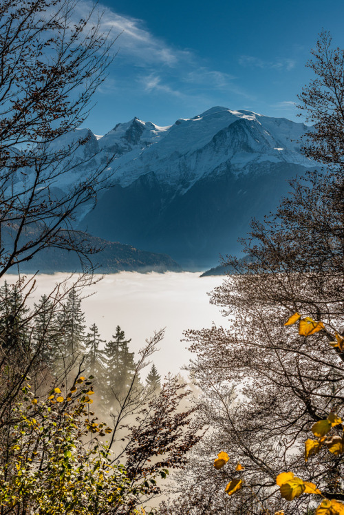 satakentia:Mont-Blanc et brouillardPassy, Haute-Savoie, Franceby Patrice Monet