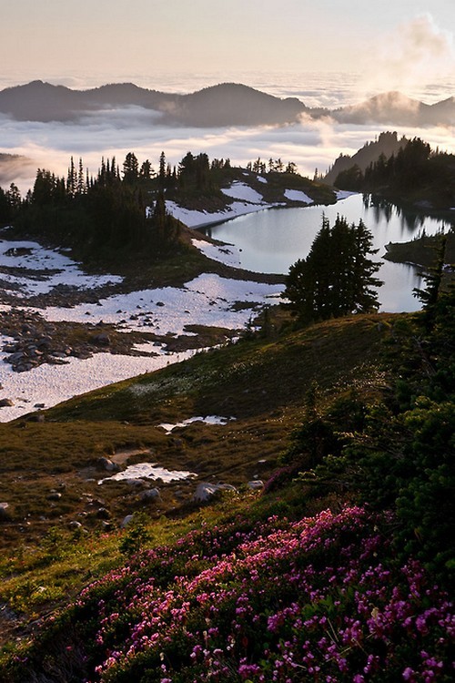 wonderous-world:  Washington, United States by Crest Pictures 