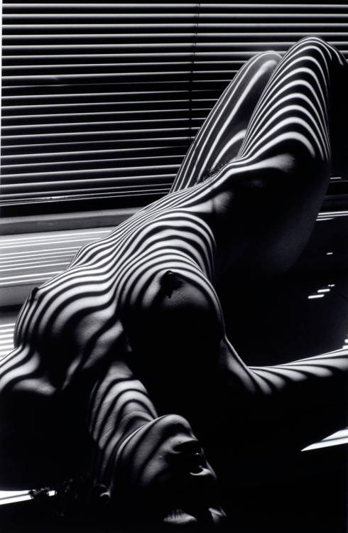 themaxdavis:  Lucien Clergue  😻😻😻😻