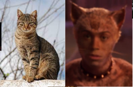 Cats 2019 As Real Cats Cause Why Not.part 3 The Toms