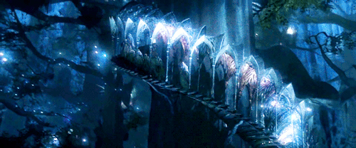 klaushargreeveses:     Frodo stood awhile still lost in wonder. It seemed to him that he had stepped through a high window that looked on a vanished world. A light was upon it for which his language had no name.   