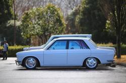 cruisefocus:  #datsun #datsun510 #510 #crystalbird