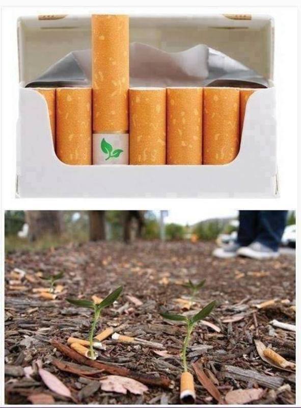 beben-eleben:
“ Biodegradable cigarette filters with flower seeds.
Save the Planet, Kill Yourself.
”